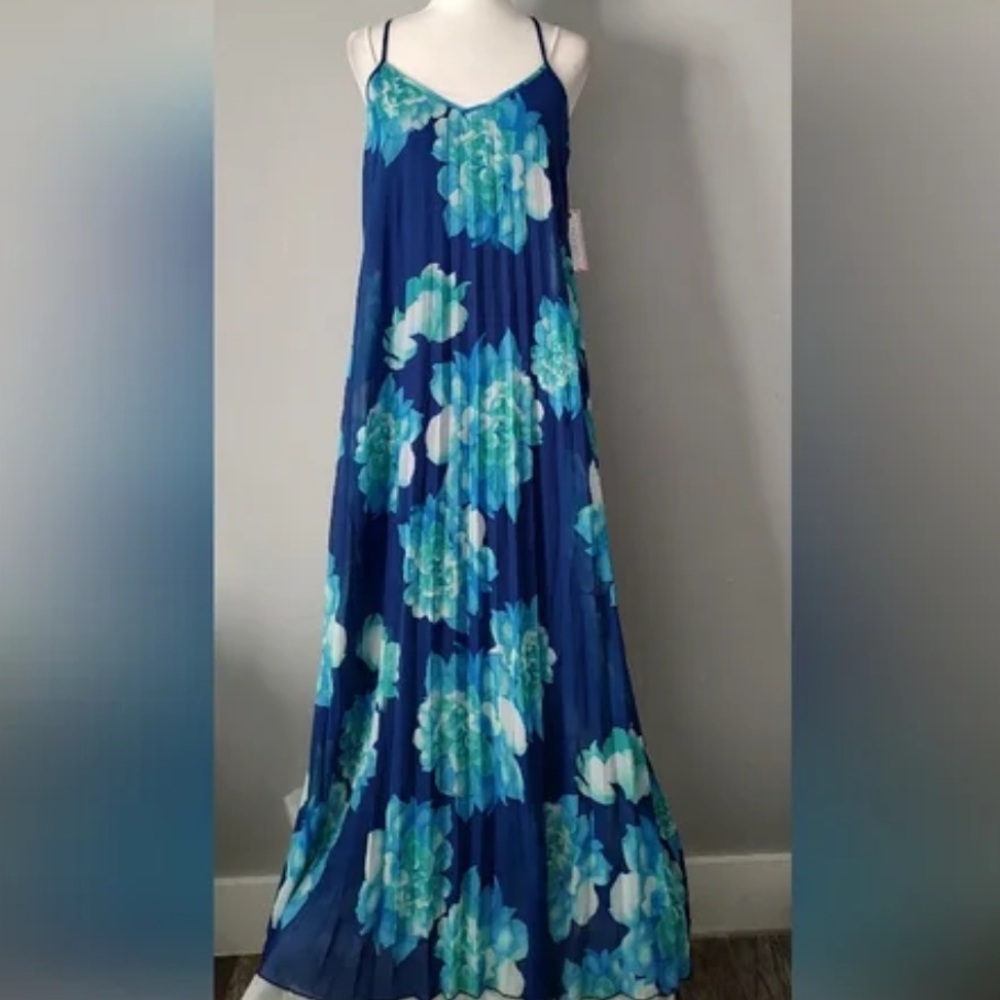 Bisou Bisou Floral Maxi Dress BNWT